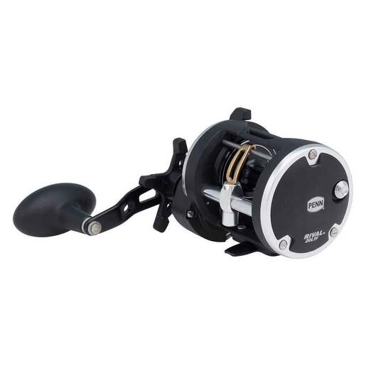 PENN Rival Level Wind Trolling/Conventional Reel – 15