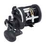 PENN Rival Level Wind Trolling/Conventional Reel - Size 15, Right - 15