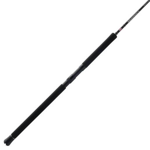 PENN Squadron IV Jig Spinning Rod