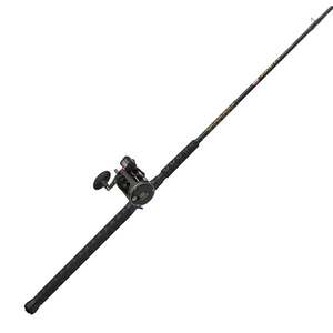 PENN Squall II Level Wind Conventional Rod and Reel Combo - 9ft, Heavy Power, 2pc