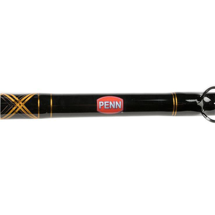 PENN Squall Level Drag Saltwater Trolling Combo PENN Squall Level Drag Saltwater Trolling Combo