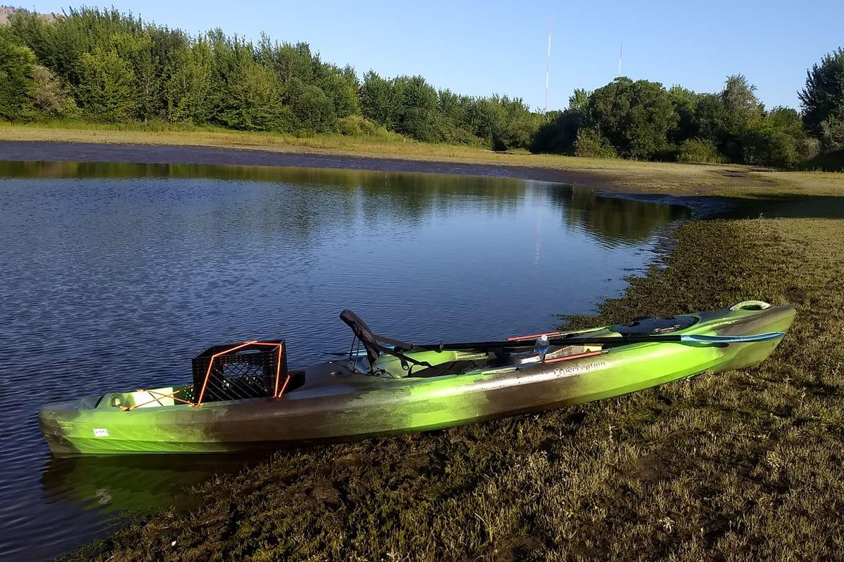 Sit in Kayak Perception Prescador 12-ft