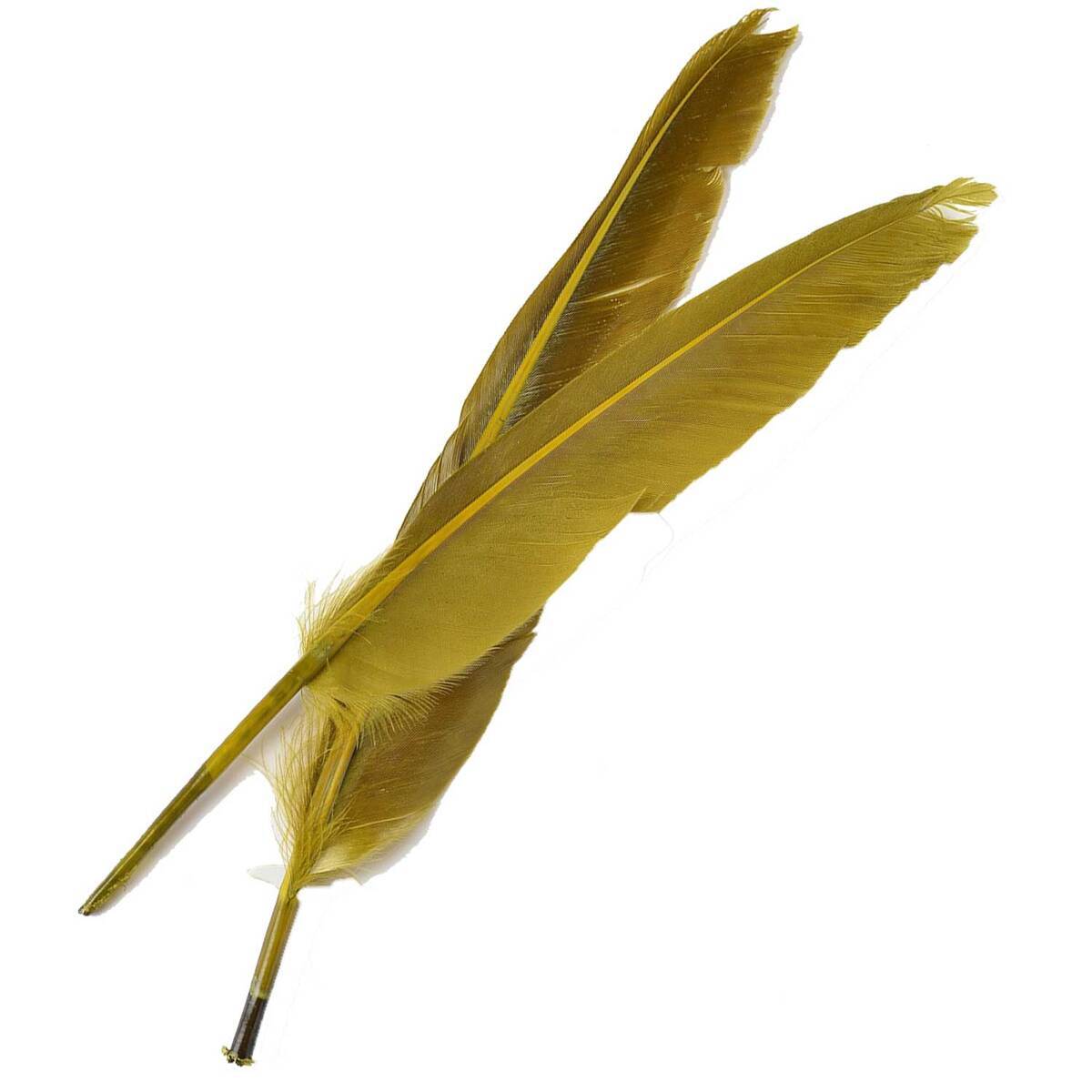 Perfect Hatch Duck Quills Fly Tying Feathers Perfect Hatch Duck Quills Fly Tying Feathers