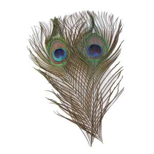 Perfect Hatch Peacock Eye Feathers - Natural