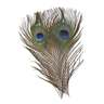 Perfect Hatch Peacock Eye Feathers - Natural - Natural