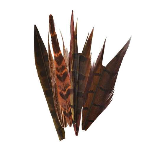 Perfect Hatch Ringneck Pheasant Center Tail - Assorted - Perfect Hatch