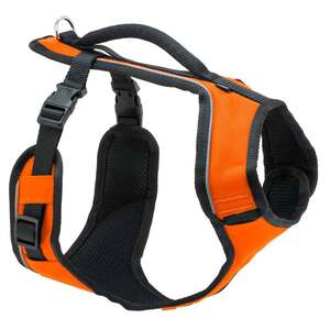 PetSafe EasySport Orange Harness
