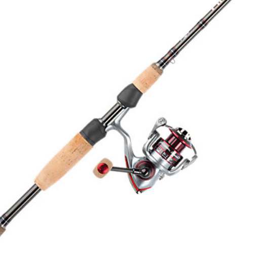 Pflueger President XT Spinning Combo - Gray/Silver 25