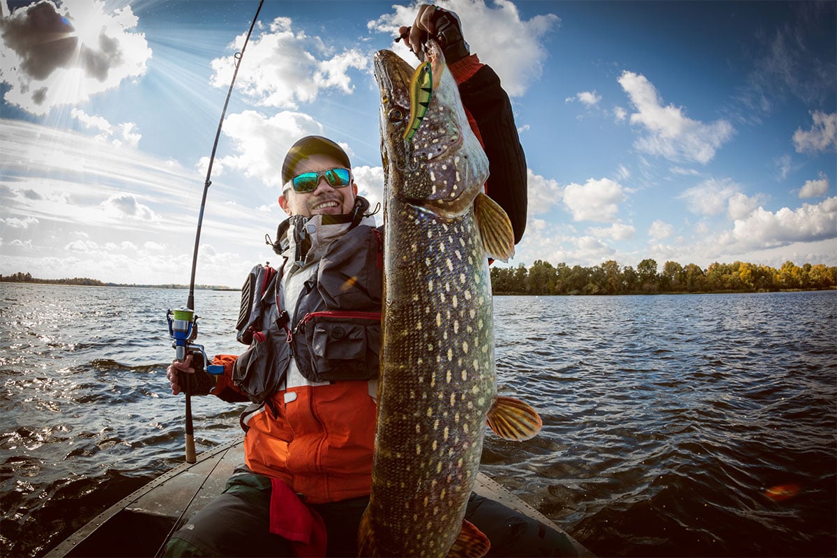 Pike caught with a crankbait