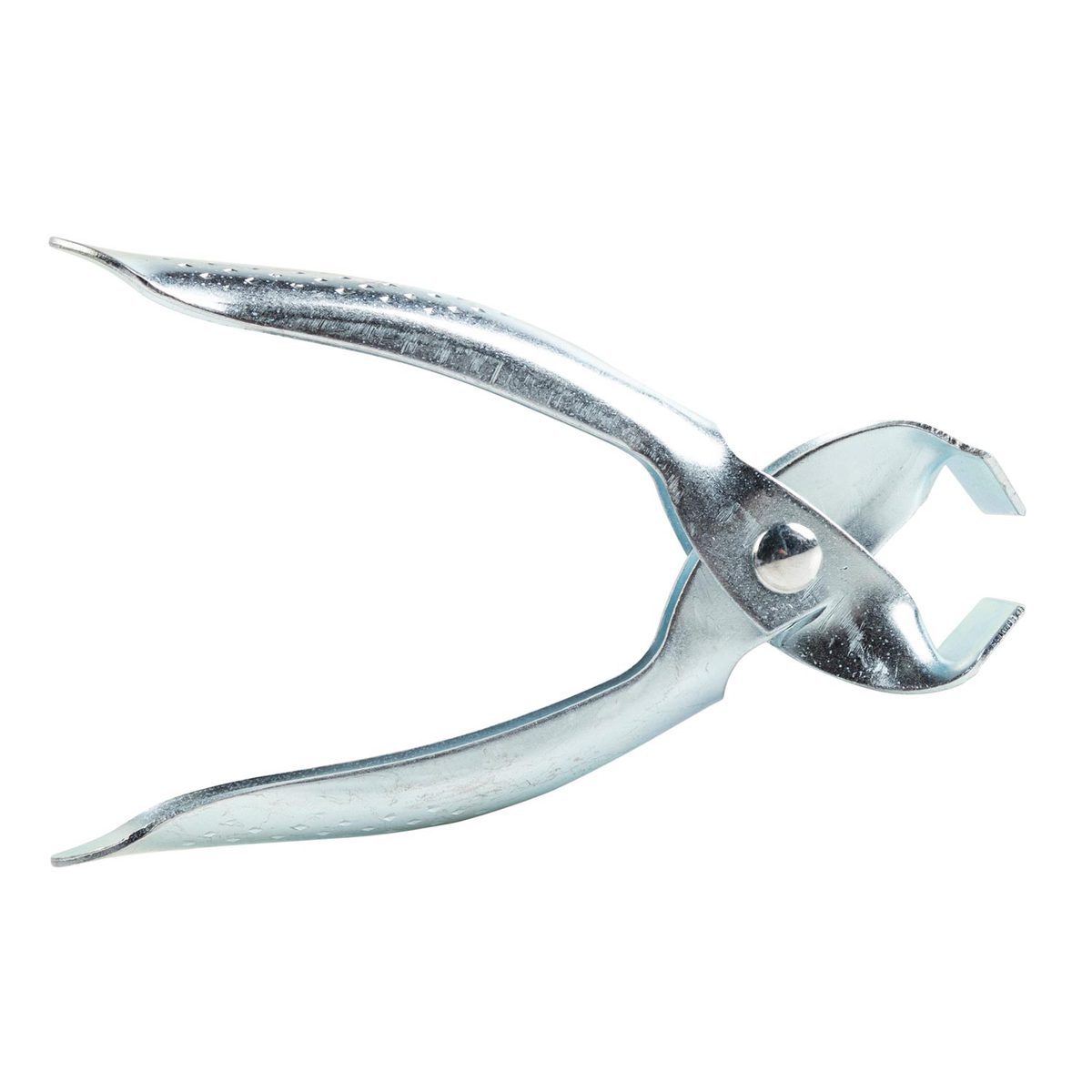 8” Stainless Steel Needle Nose Pliers - P-Line