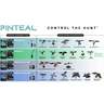 Pinteal M 6/12V Wire Controller/Harness