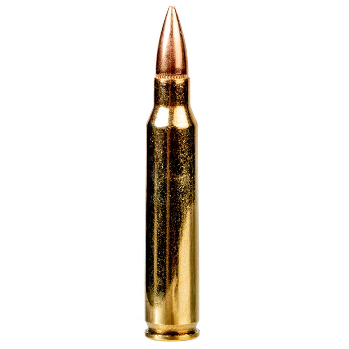 PMC Bronze 223 Remington 55gr FMJBT Rifle Ammo - 20 Rounds PMC Bronze 223 Remington 55gr FMJBT Rifle Ammo - 20 Rounds
