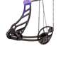 Quest Centec NXT 15-45lbs Right Hand Galaxy Compound Bow - Package - Black / Purple