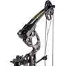 Quest Radical 40lbs Right Hand Open Country Youth Compound Bow - Camo