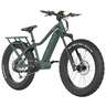 QuietKat Apex 750W Evergreen E-Bike - 17in - Green 17in