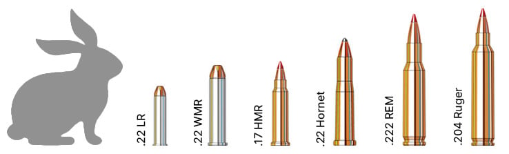 Rabbit hunting calibers