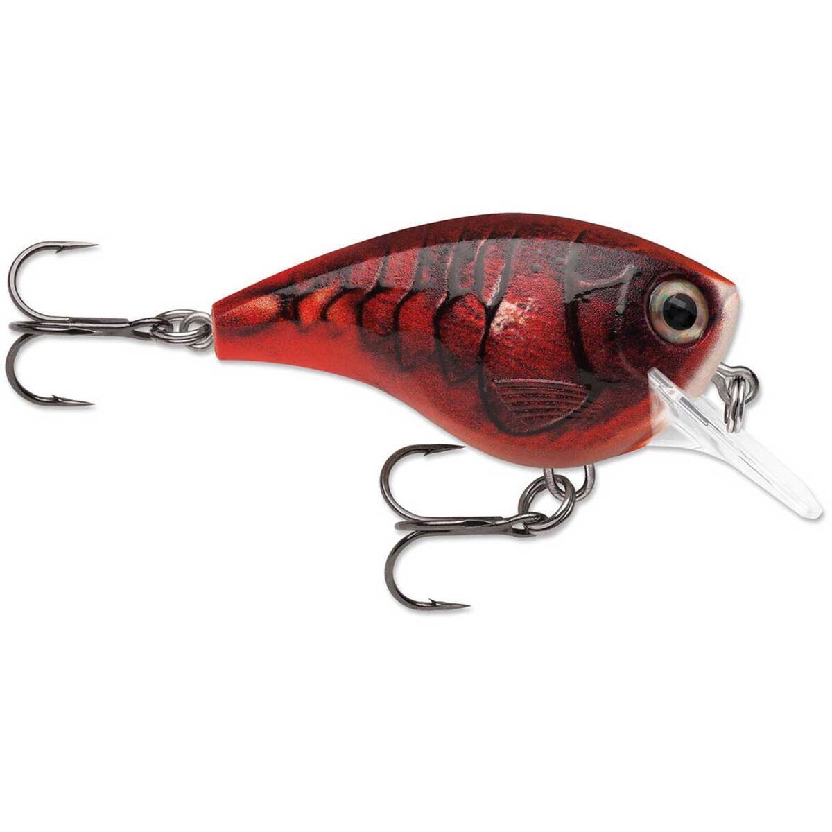 Rapala BX Brat 6 Medium Diving Crankbait Rapala BX Brat 6 Medium Diving Crankbait