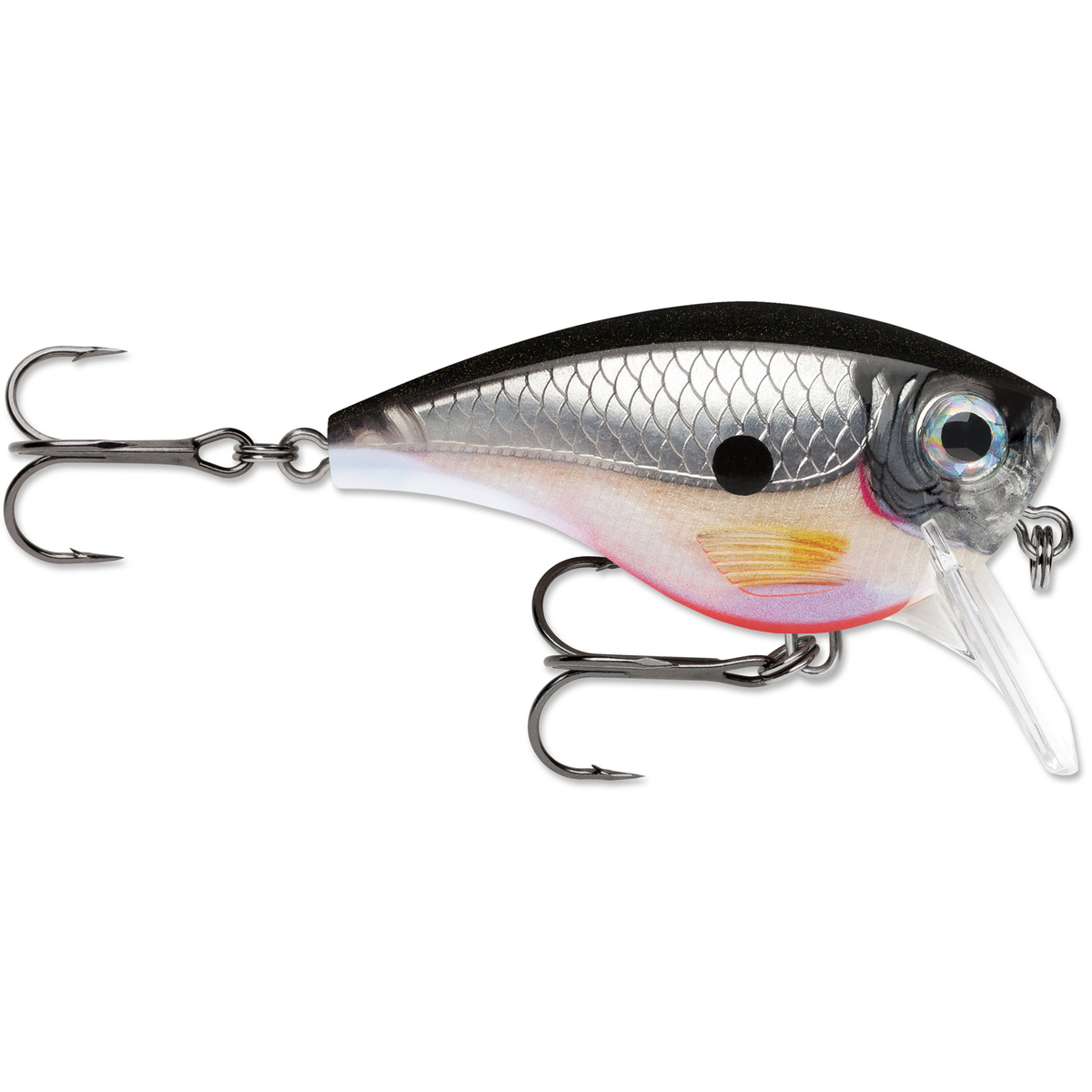 Rapala BX Mid Brat Shallow Diving Crankbait Rapala BX Mid Brat Shallow Diving Crankbait