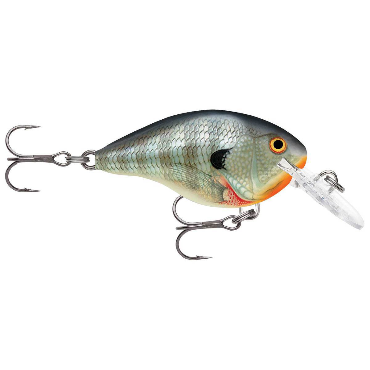 Rapala DT Series DT04 Shallow Diving Crankbait - Bluegill, 5/16oz, 2in - Bluegill Rapala DT Series DT04 Shallow Diving Crankbait - Bluegill, 5/16oz, 2in - Bluegill