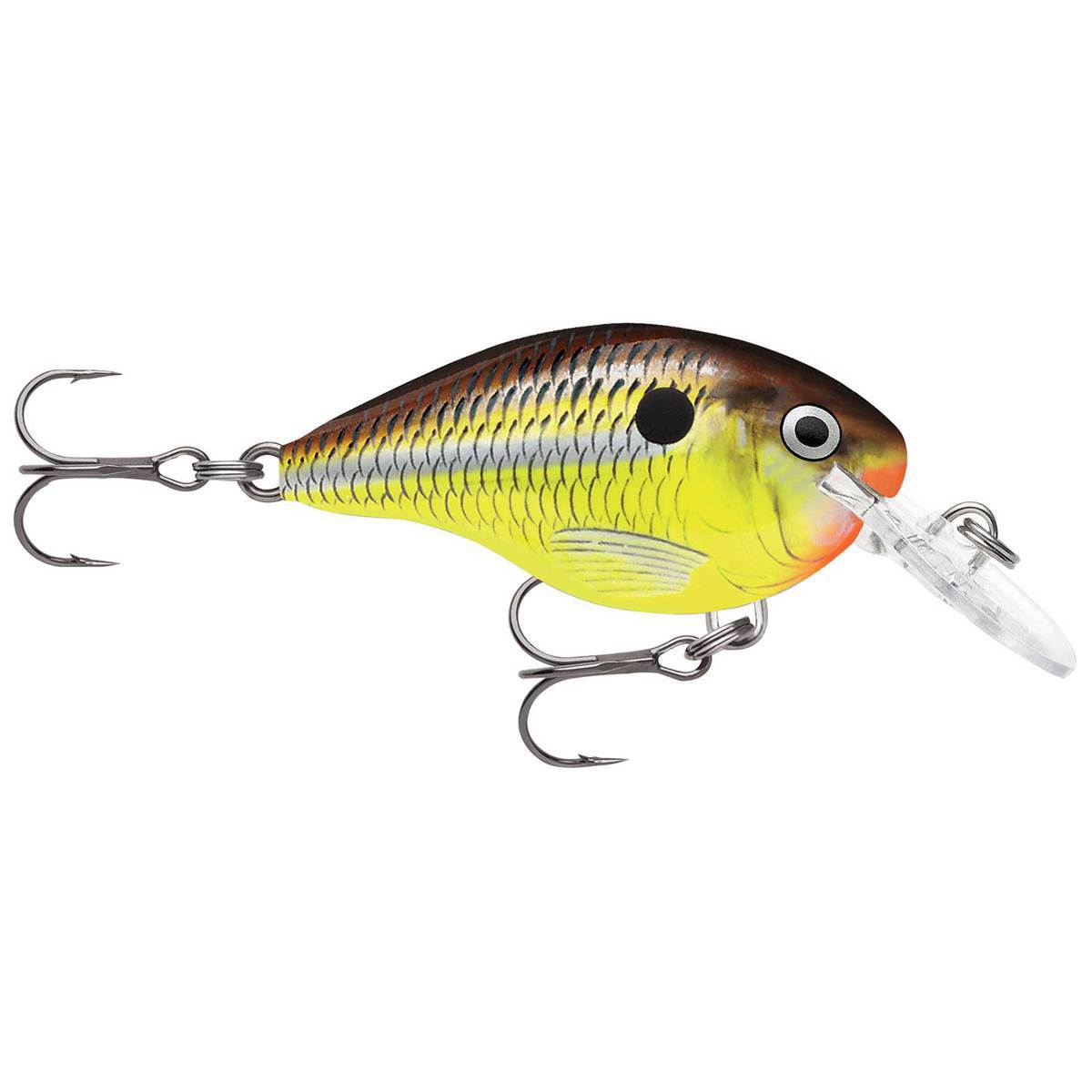 Rapala DT Series DT04 Shallow Diving Crankbait - Hot Mustard, 5/16oz, 2in - Hot Mustard Rapala DT Series DT04 Shallow Diving Crankbait - Hot Mustard, 5/16oz, 2in - Hot Mustard