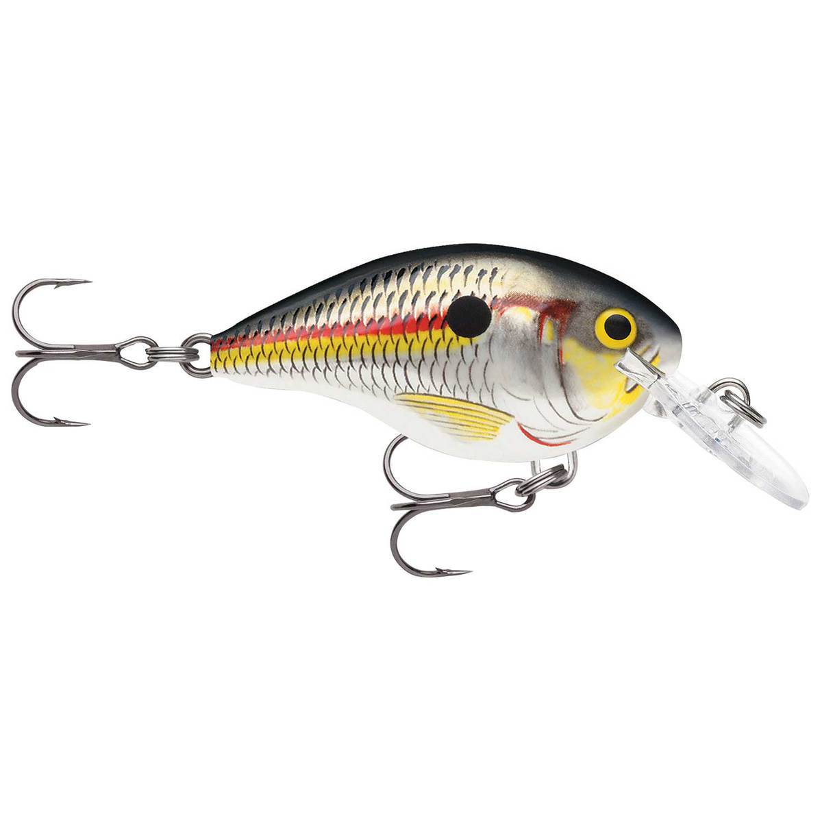 Rapala DT Series DT04 Shallow Diving Crankbait - Shad, 5/16oz, 2in - Shad Rapala DT Series DT04 Shallow Diving Crankbait - Shad, 5/16oz, 2in - Shad