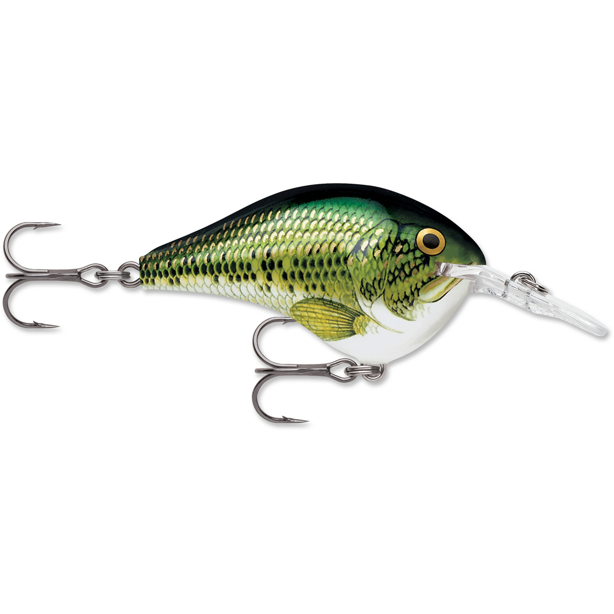 Rapala DT Series Crankbait Rapala DT Series Crankbait