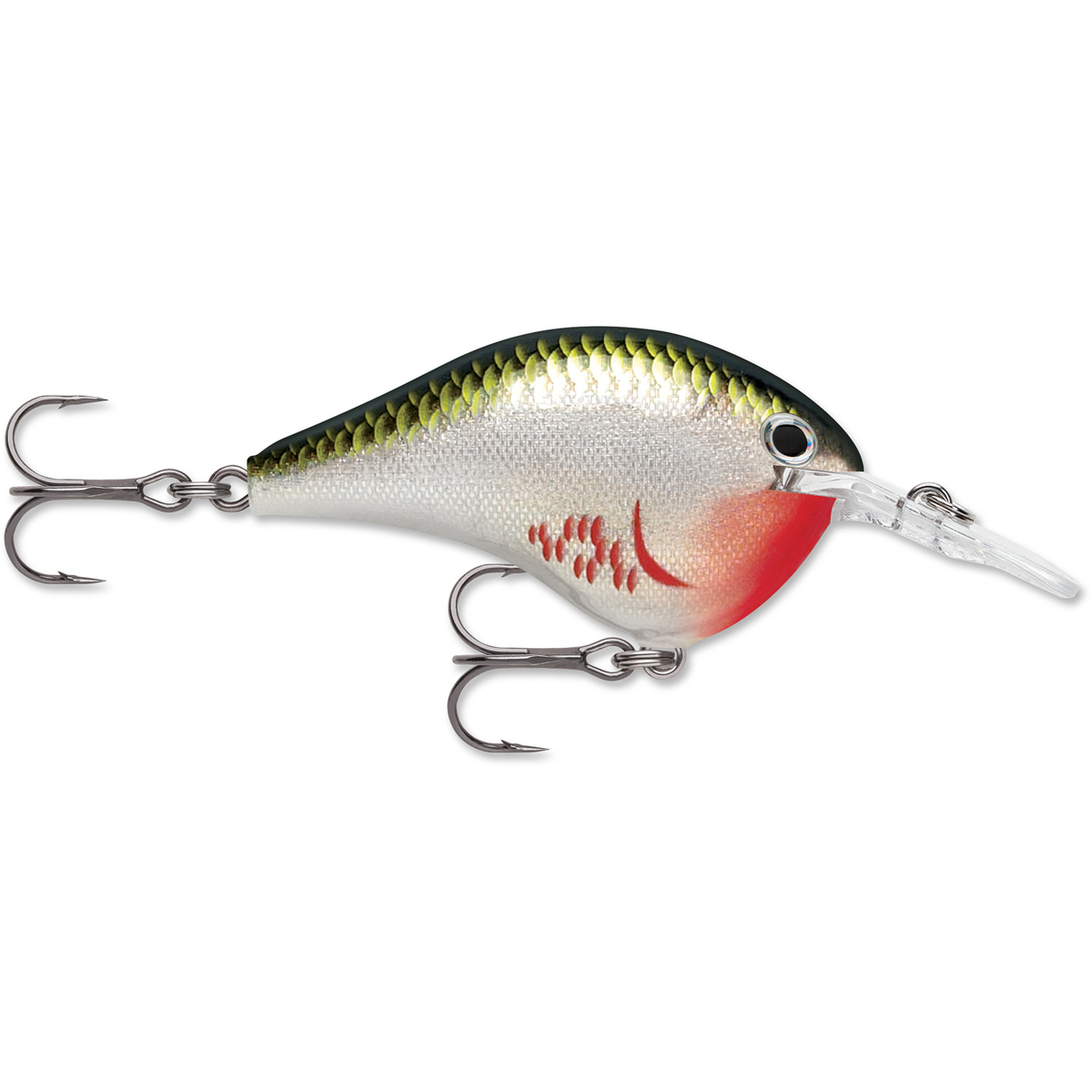 Rapala DT Series Crankbait Rapala DT Series Crankbait