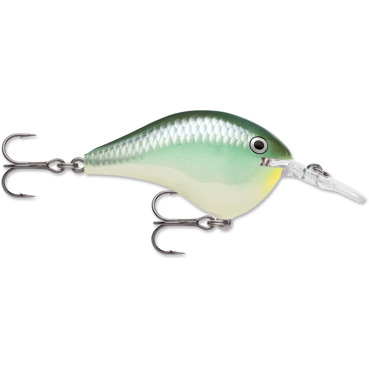 Rapala DT Series Crankbait Rapala DT Series Crankbait