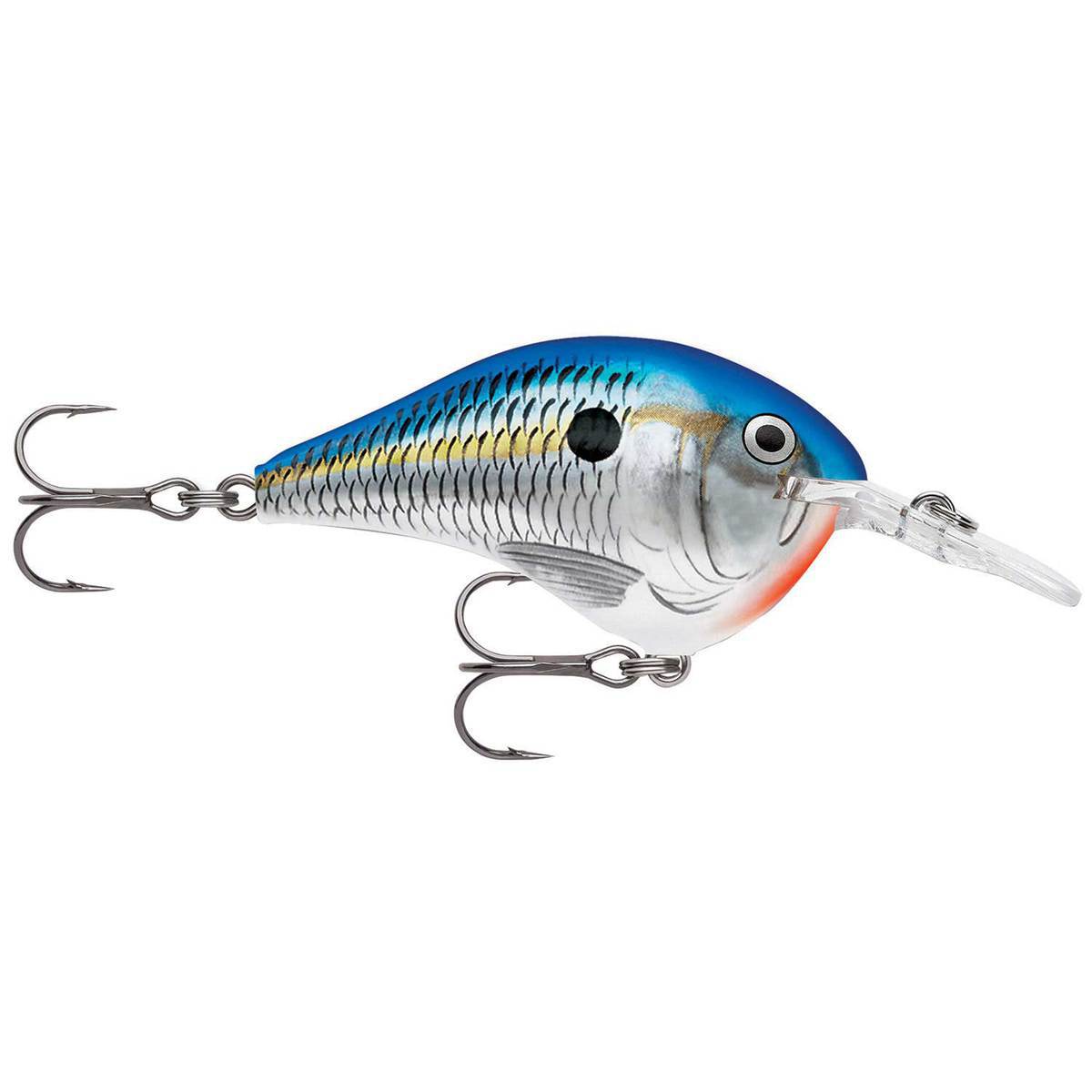 Rapala DT Series Crankbait - Blue Shad, 3/8oz, 2in, 6ft - Blue Shad Rapala DT Series Crankbait - Blue Shad, 3/8oz, 2in, 6ft - Blue Shad