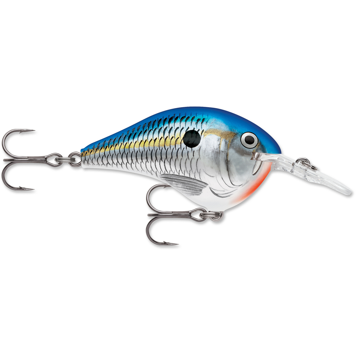 Rapala DT Series Crankbait Rapala DT Series Crankbait