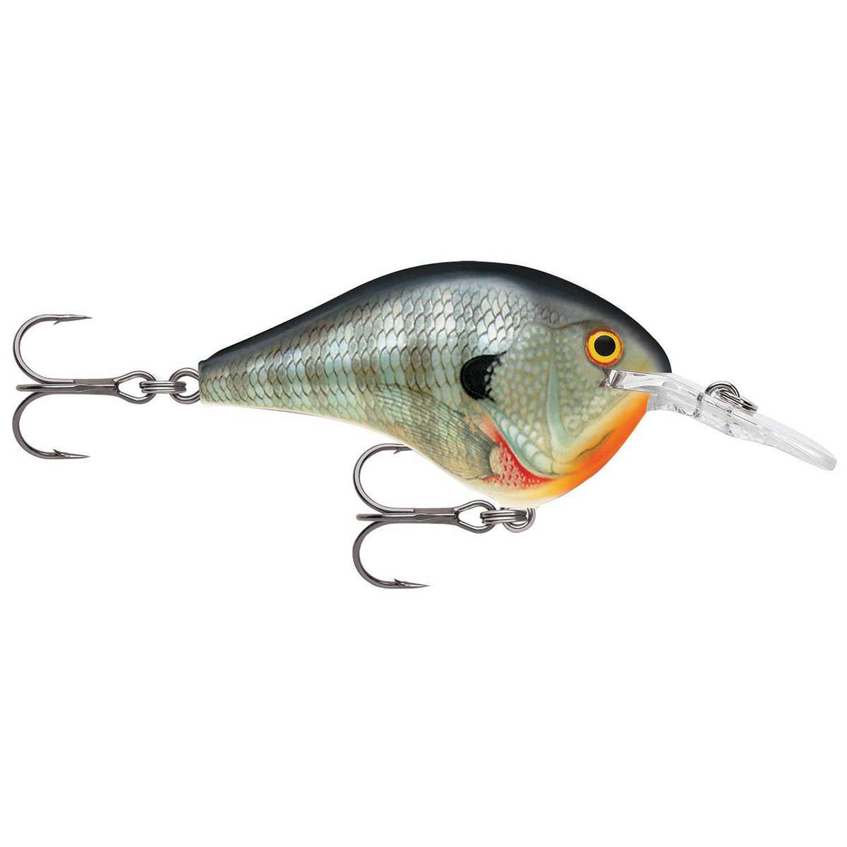 Rapala DT Series Crankbait - Bluegill, 3/8oz, 2in, 6ft - Bluegill Rapala DT Series Crankbait - Bluegill, 3/8oz, 2in, 6ft - Bluegill