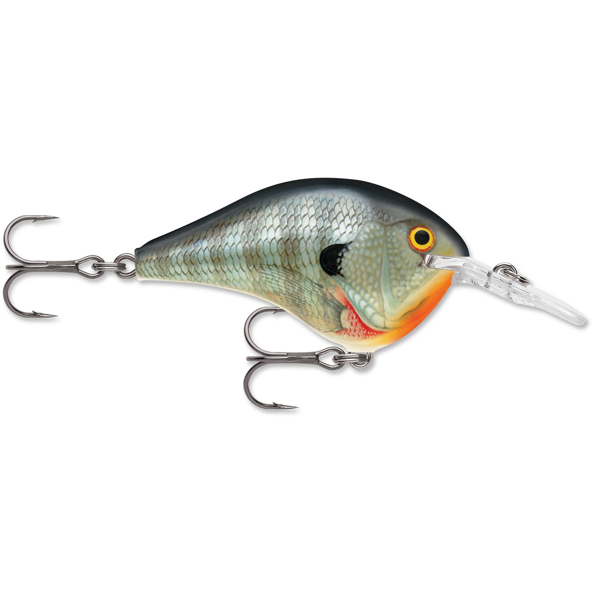 Rapala DT Series Crankbait Rapala DT Series Crankbait