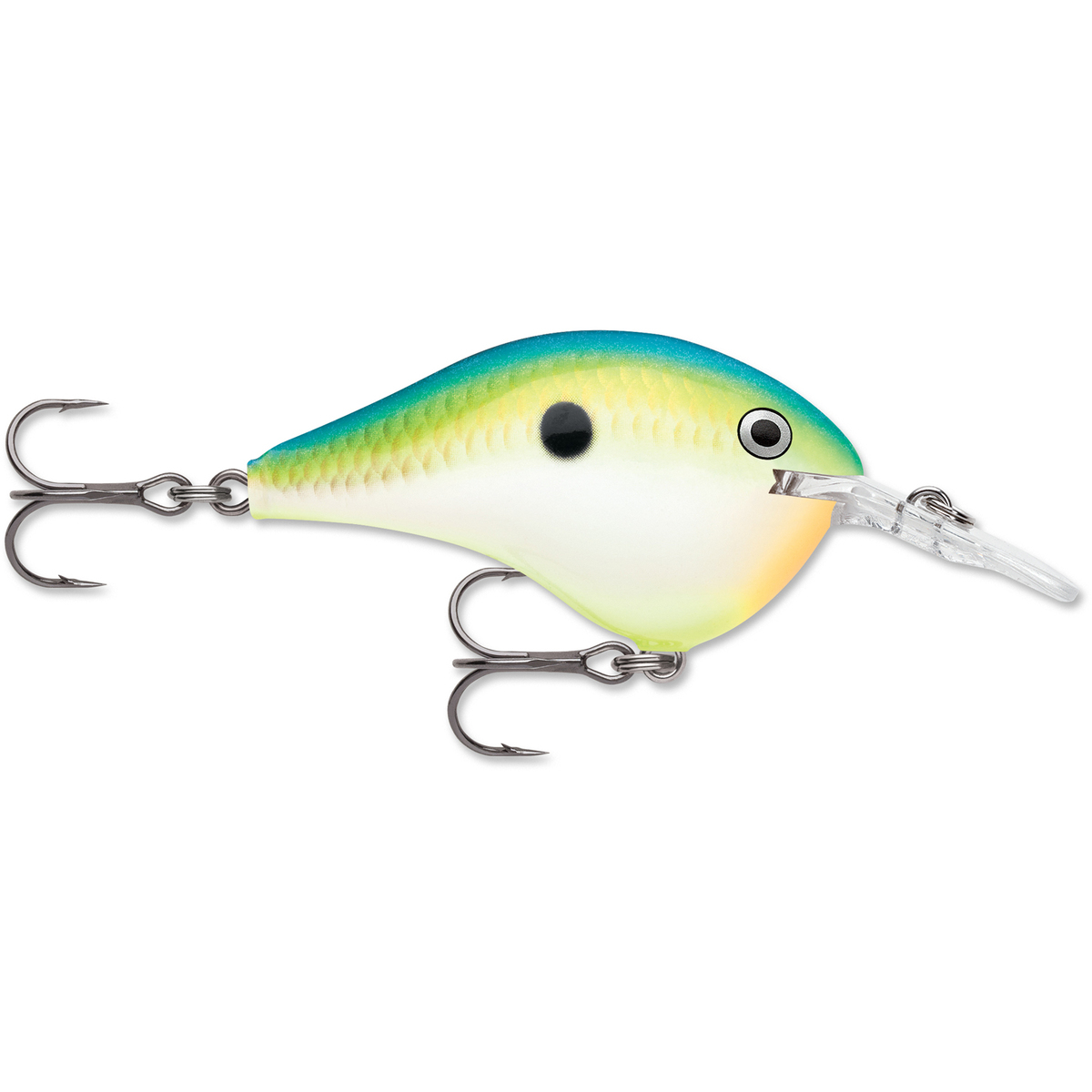 Rapala DT Series Crankbait Rapala DT Series Crankbait