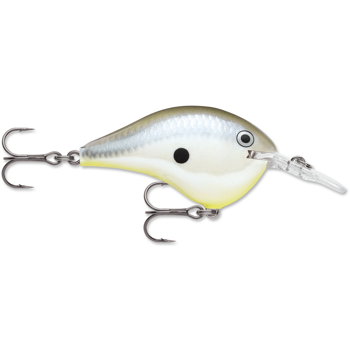 Rapala DT Series Crankbait Rapala DT Series Crankbait