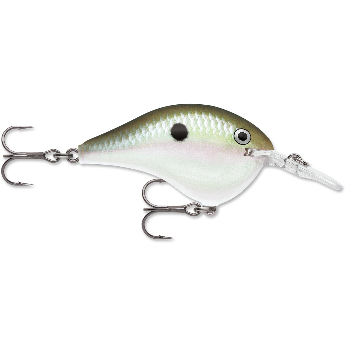 Rapala DT Series Crankbait Rapala DT Series Crankbait