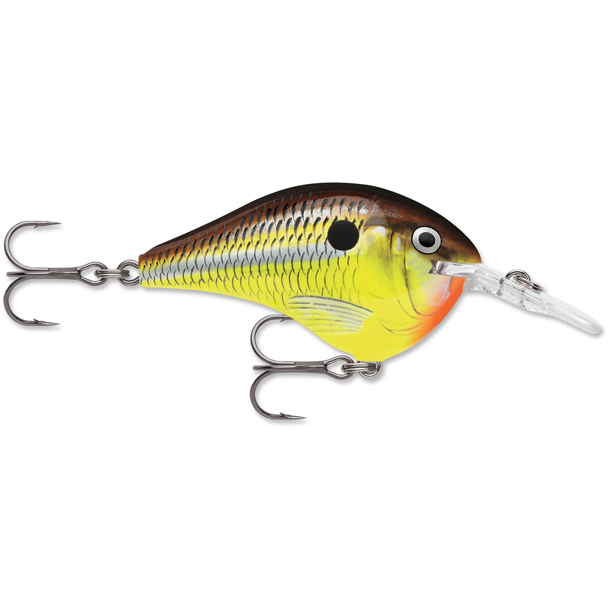 Rapala DT Series Crankbait Rapala DT Series Crankbait