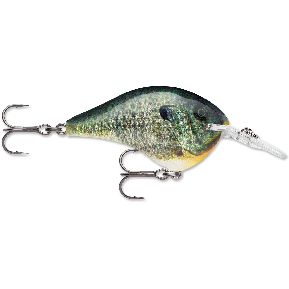 Rapala DT Series Crankbait Rapala DT Series Crankbait