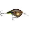 Rapala DT Series Crankbait - Mossy, 3/8oz, 2in, 6ft - Mossy