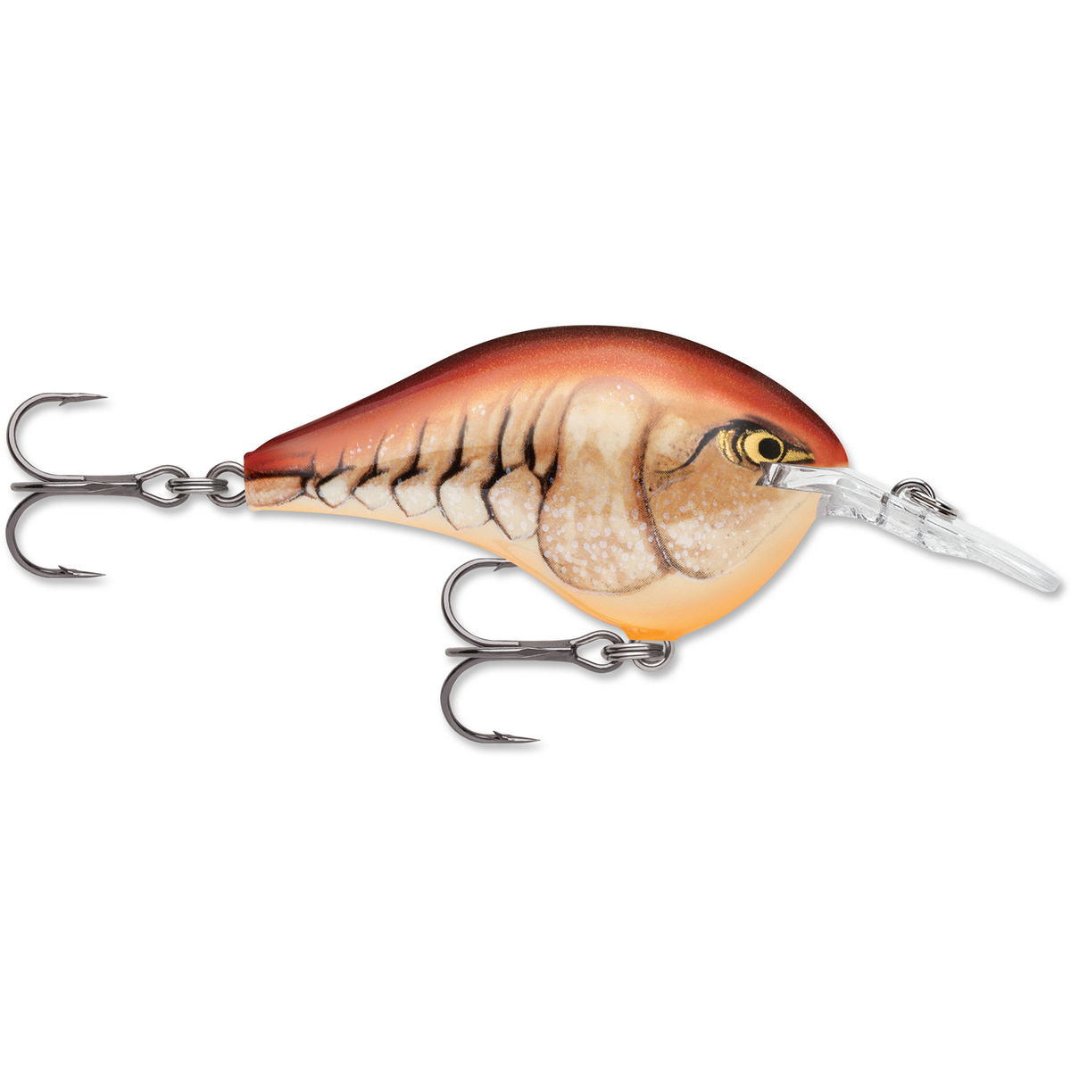 Rapala DT Series Crankbait Rapala DT Series Crankbait