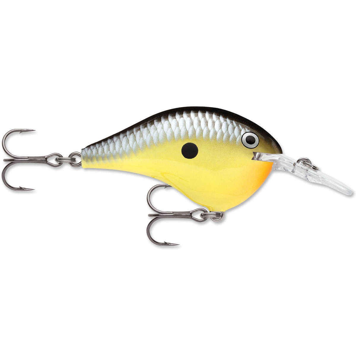 Rapala DT Series Crankbait Rapala DT Series Crankbait