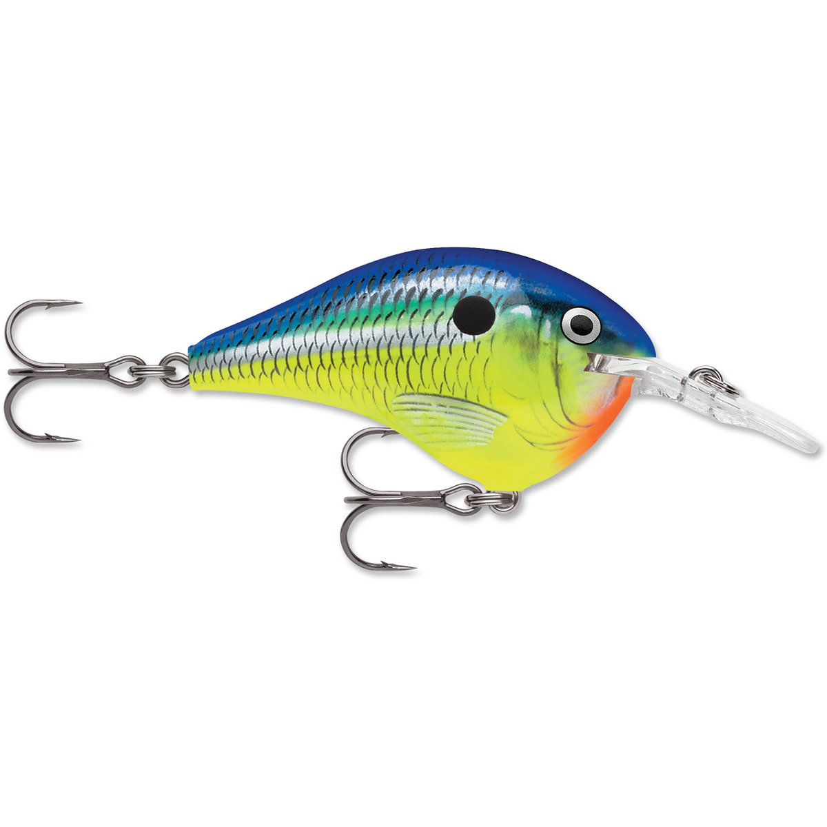 Rapala DT Series Crankbait Rapala DT Series Crankbait