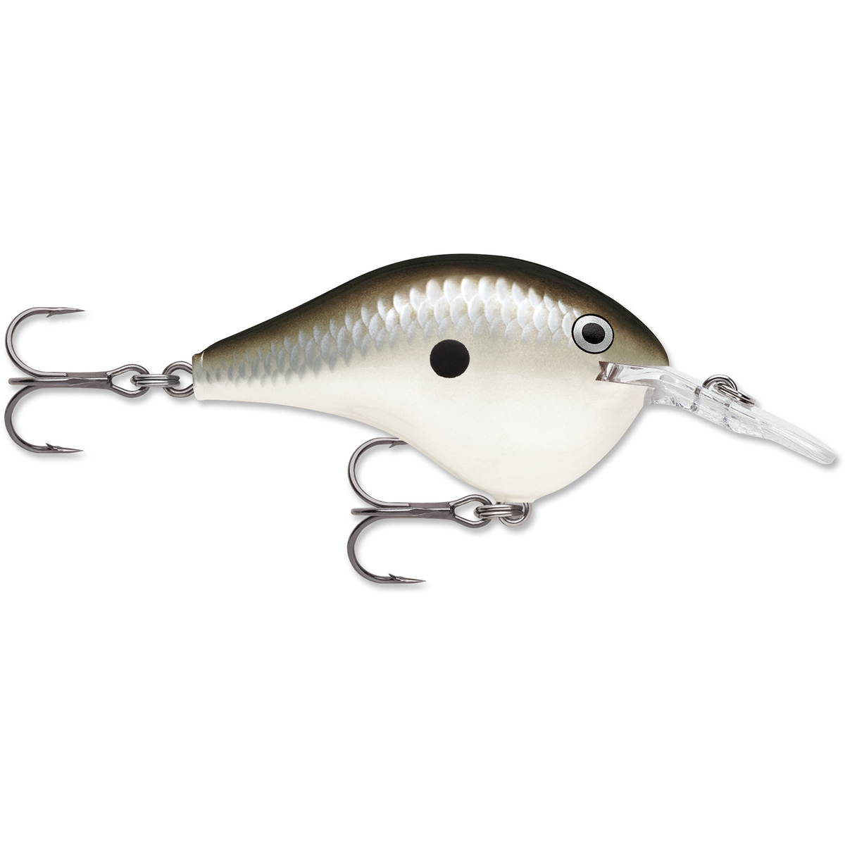 Rapala DT Series Crankbait Rapala DT Series Crankbait