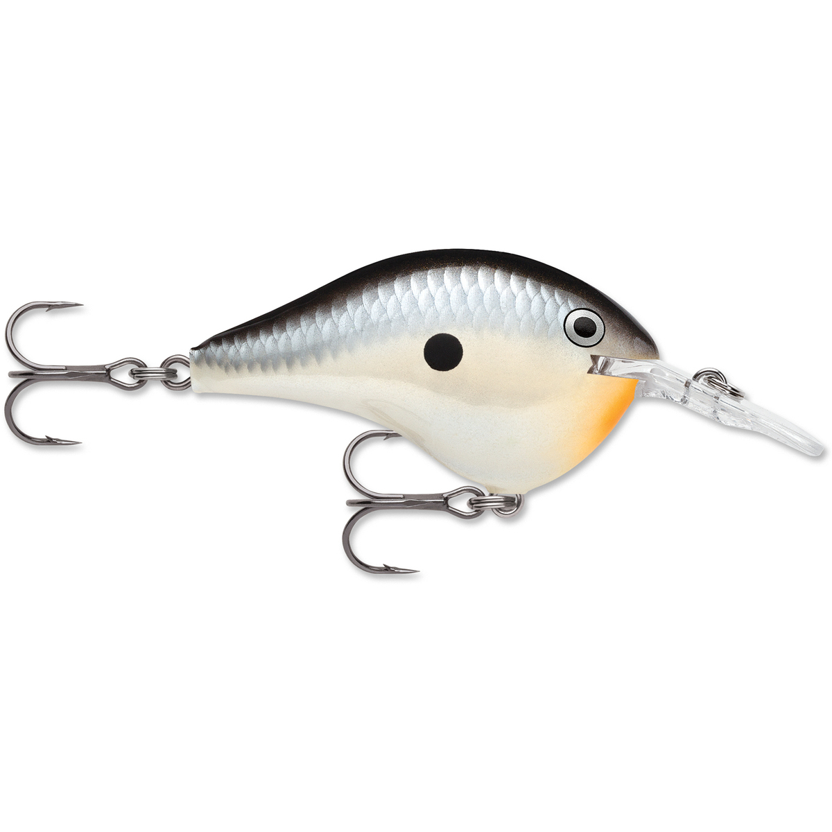Rapala DT Series Crankbait Rapala DT Series Crankbait