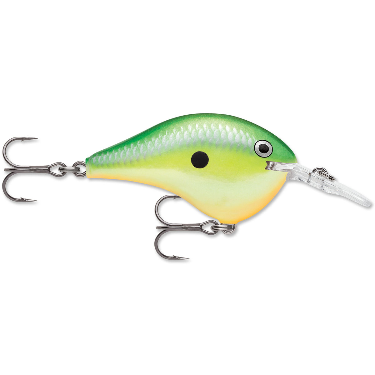 Rapala DT Series Crankbait Rapala DT Series Crankbait