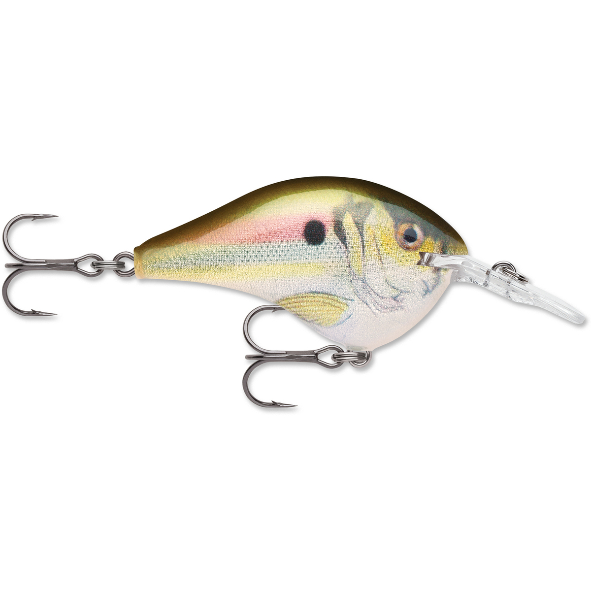 Rapala DT Series Crankbait Rapala DT Series Crankbait