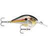 Rapala DT Series Crankbait - Shad, 3/8oz, 2in, 6ft - Shad
