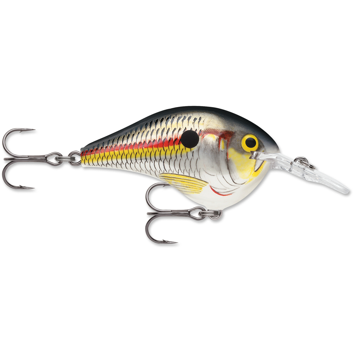 Rapala DT Series Crankbait Rapala DT Series Crankbait