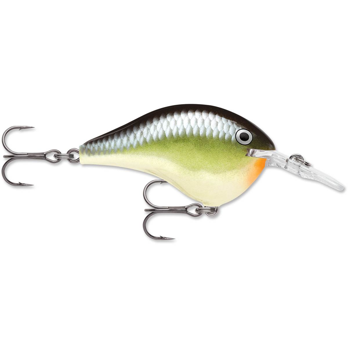 Rapala DT Series Crankbait Rapala DT Series Crankbait