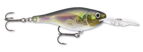 Rapala Glass Shad Rap Deep Diving