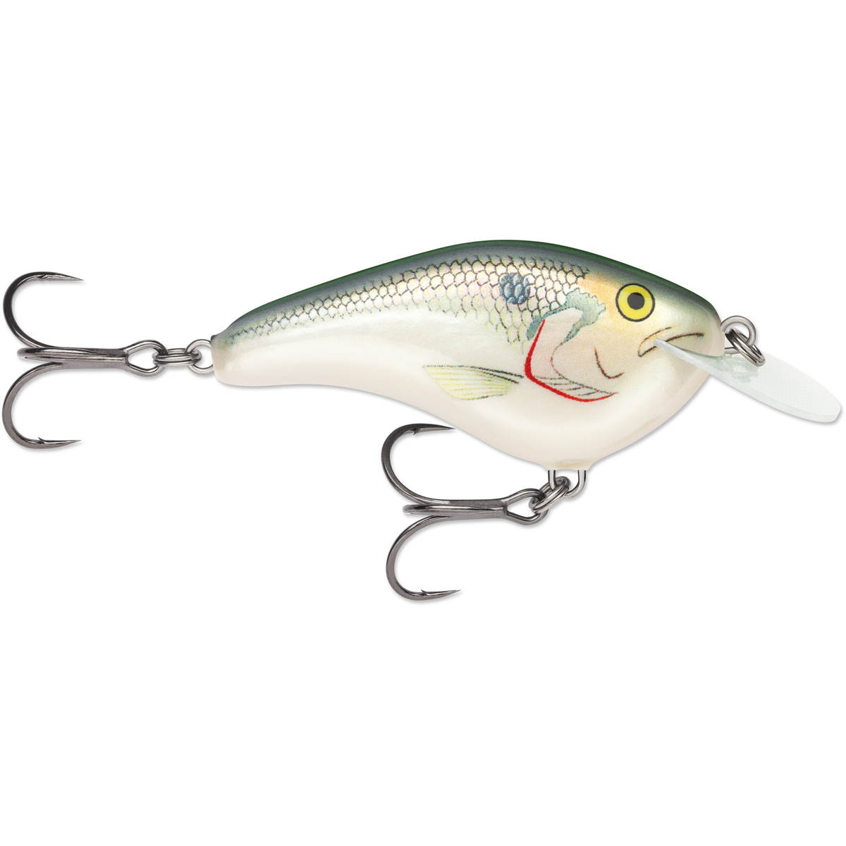 Rapala OG Tiny Shallow Diving Crankbait Rapala OG Tiny Shallow Diving Crankbait